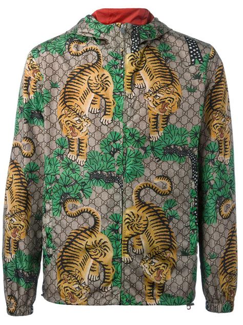 gucci bengal tiger print.